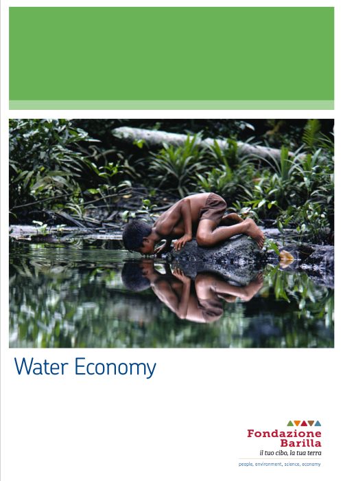 Water Economy