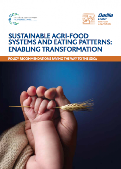 Sustainable agri-food system & eating patterns: enabling transformation