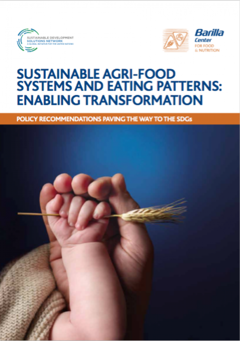 Sustainable agri-food system and eating patterns: enabling transformation