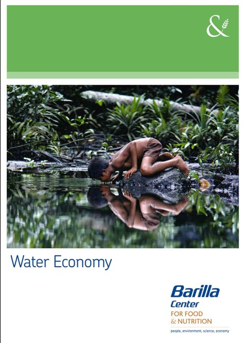 Water Economy