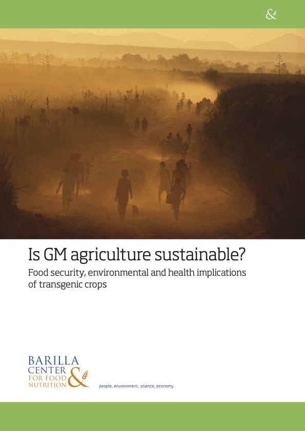How sustainable is GMO agriculture?