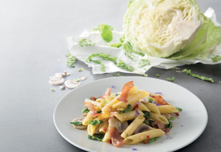 Penne pasta with savoy cabbage, mushrooms and bacon